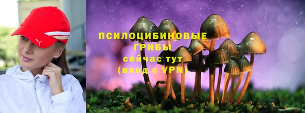 крисы Белокуриха