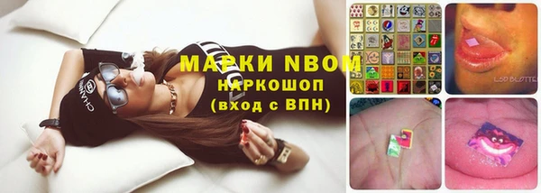 гидропоника Белоозёрский