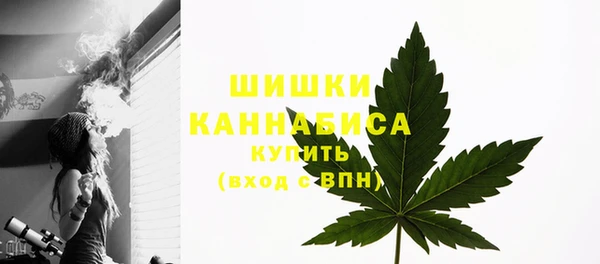 дмт Богородицк