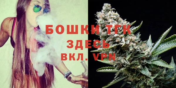 дмт Богородицк